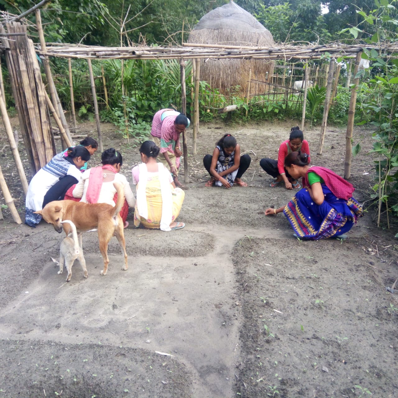 Preparation of Kitchen garden beds by SHG members