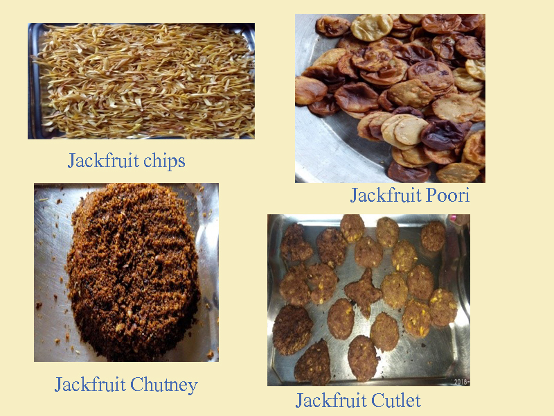 collage of jackfruit products