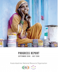 Progress Report (Sep 2016- July 2018)